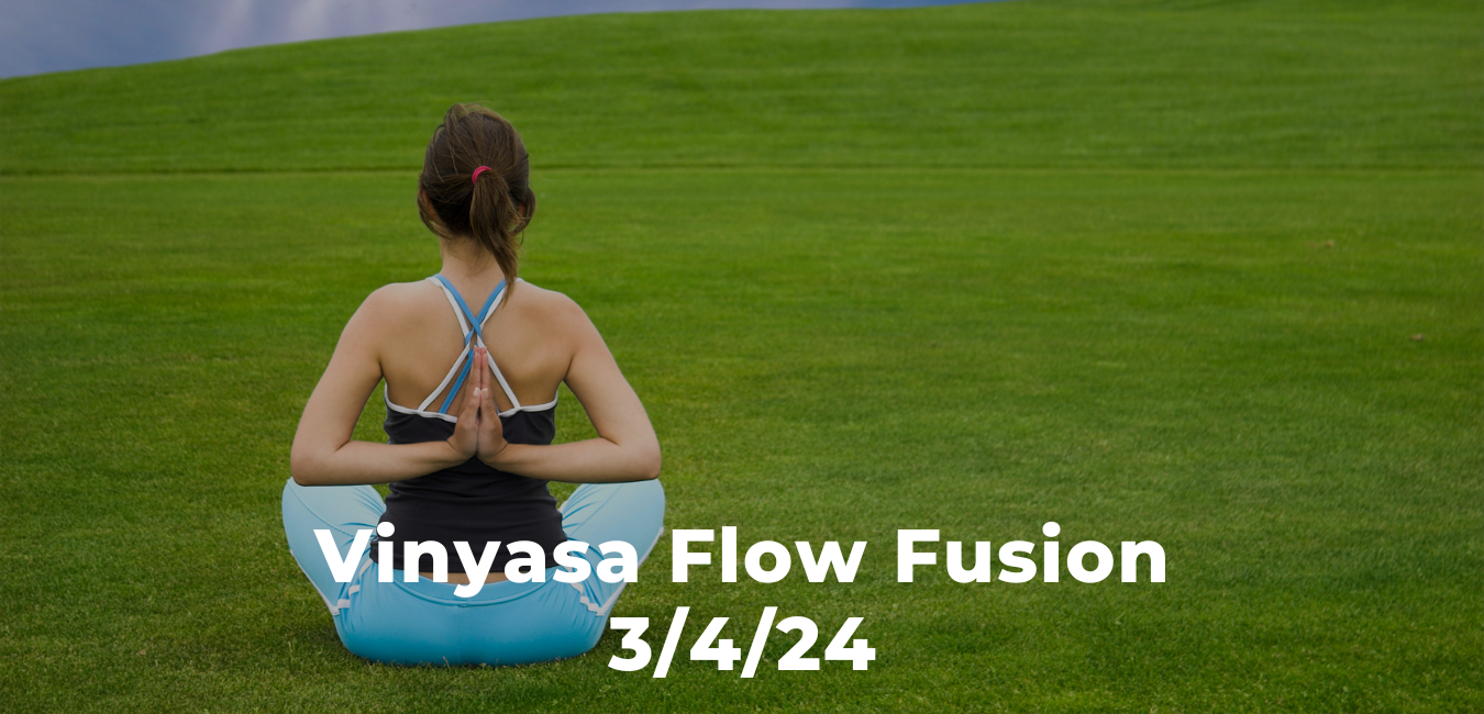 Vinyasa Flow Fusion 3/4/24