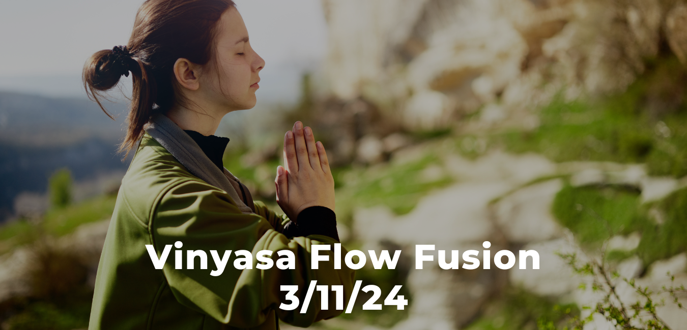 Vinyasa Flow Fusion 3/11/24