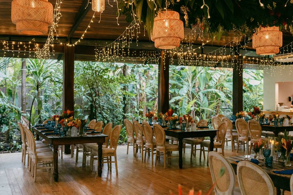 catjess-540_51_1008274-176099421655230