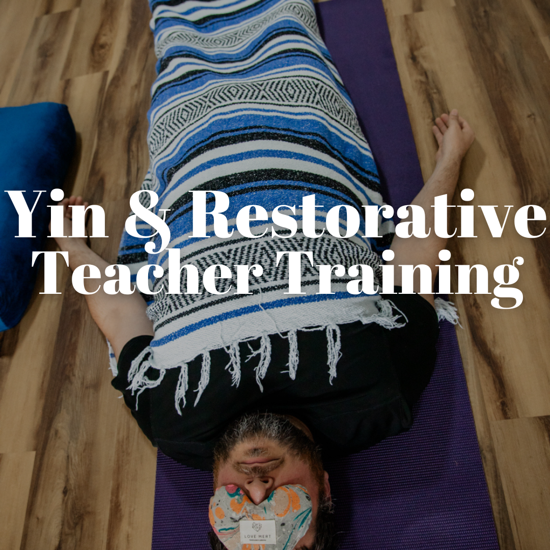 Yin & restorative yoga teacher training
